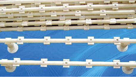 ����Ĥ������