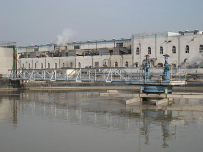 ZXG�����Ĵ��������