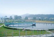 ZBN���ܱߴ���Ũ����